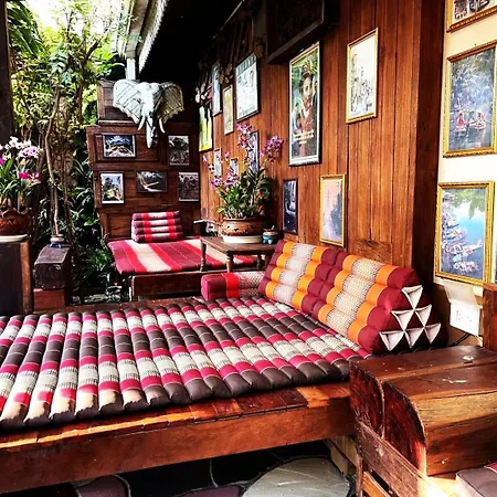 Panda House Chiang Mai-3